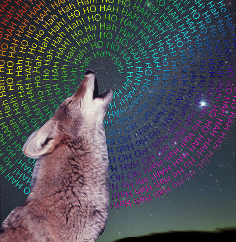 Coyote laughing at the sky